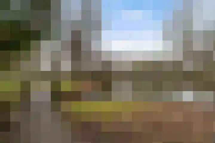 Cantatelaan 6 Nieuwegein thumbnail 41