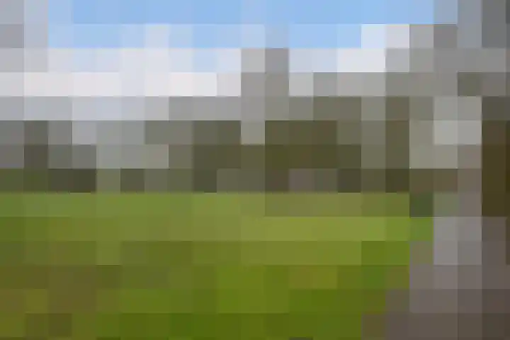 Cantatelaan 6 Nieuwegein thumbnail 42