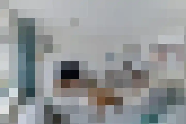 Cantatelaan 6 Nieuwegein thumbnail 9