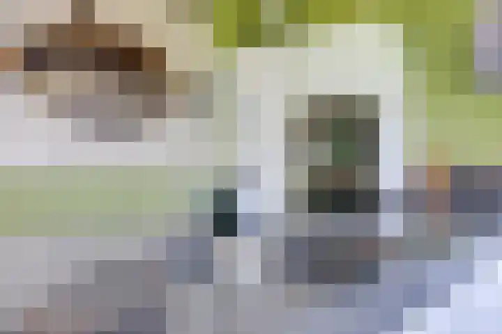 Cantatestraat 14 Arnhem thumbnail 10