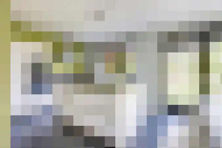 Cantatestraat 14 Arnhem thumbnail 13
