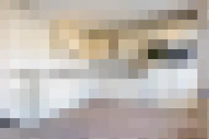 Cantatestraat 19 Apeldoorn thumbnail 10
