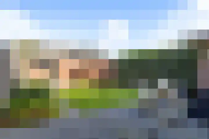 Cantatestraat 19 Apeldoorn thumbnail 13