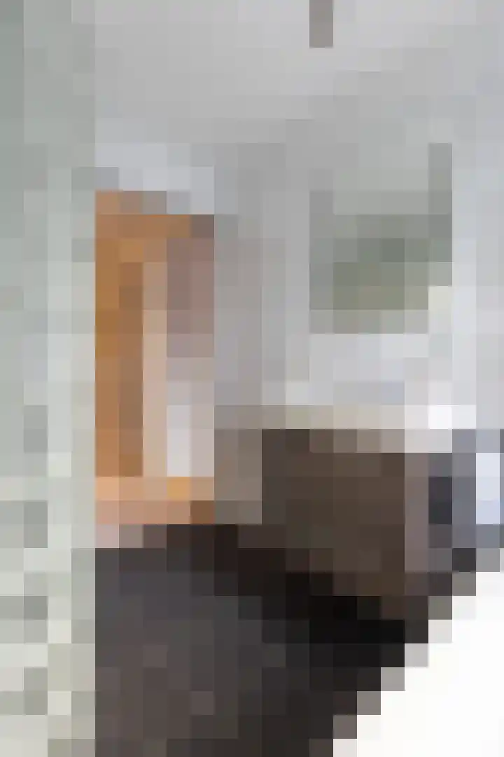 Cantatestraat 19 Apeldoorn thumbnail 26
