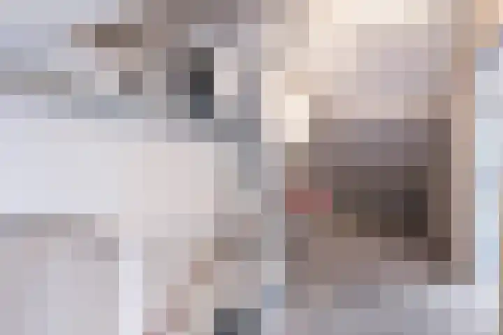Cantatestraat 19 Apeldoorn thumbnail 30
