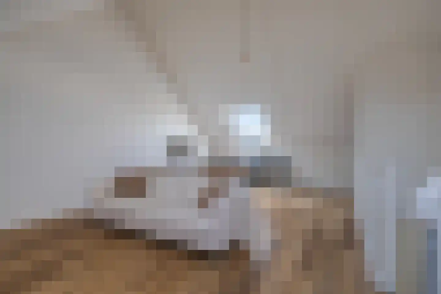 Cantatestraat 8 Arnhem thumbnail 35