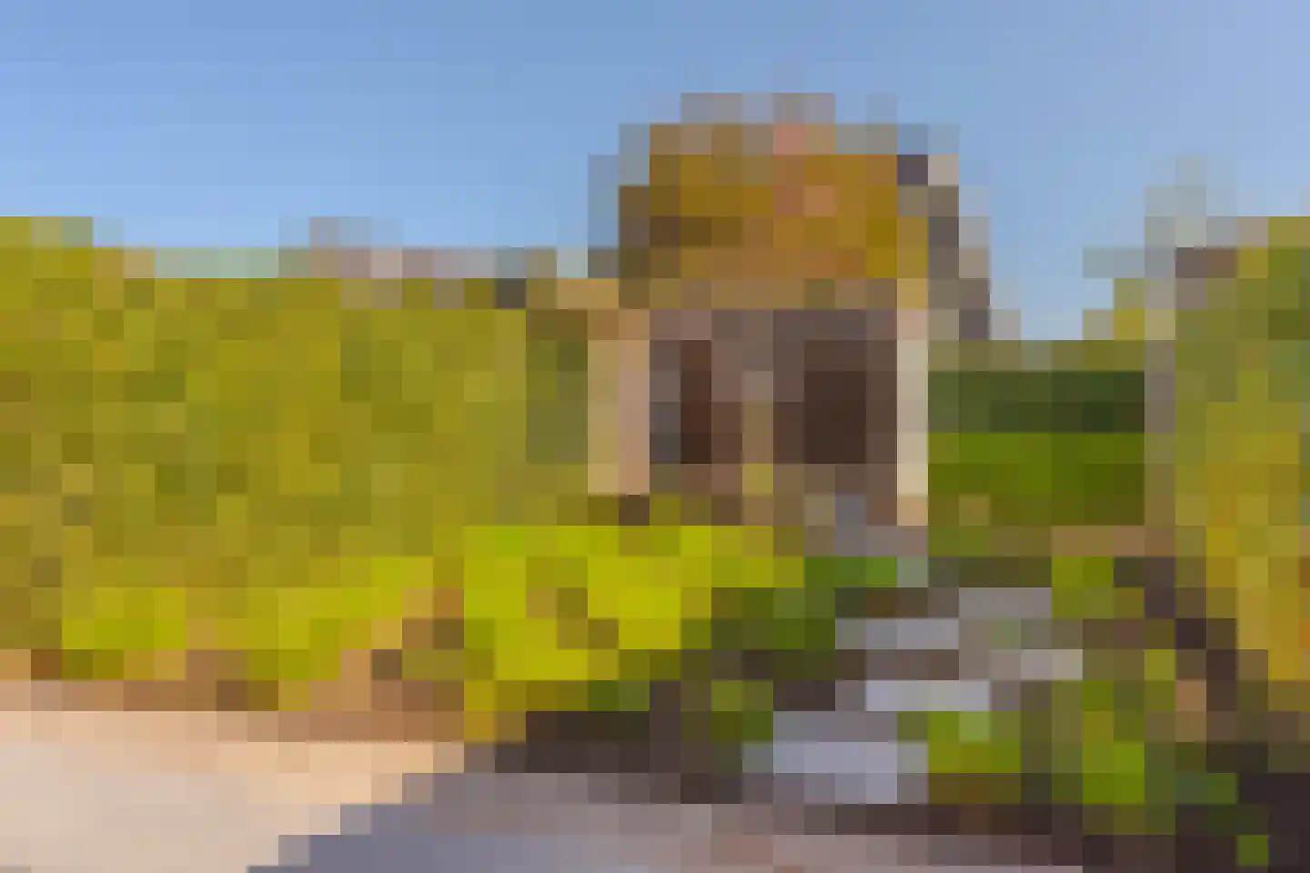 Cantatestraat 8 Arnhem thumbnail 39