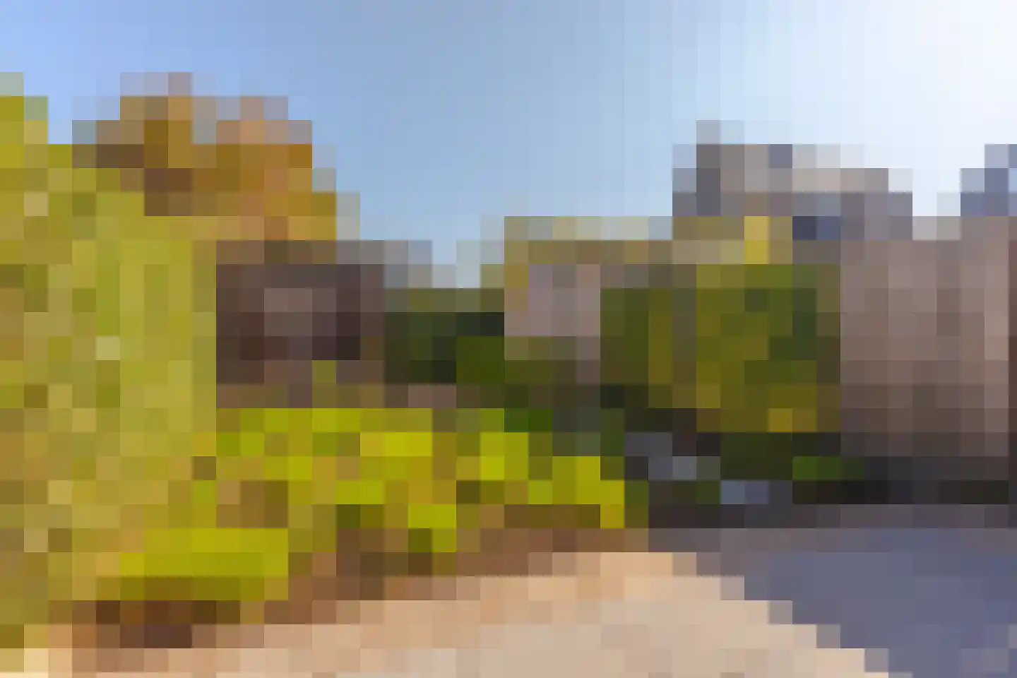 Cantatestraat 8 Arnhem thumbnail 4