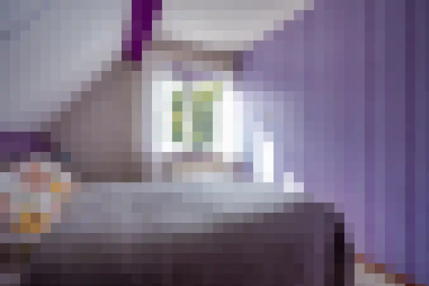Cantecleer 12 Kollum thumbnail 15