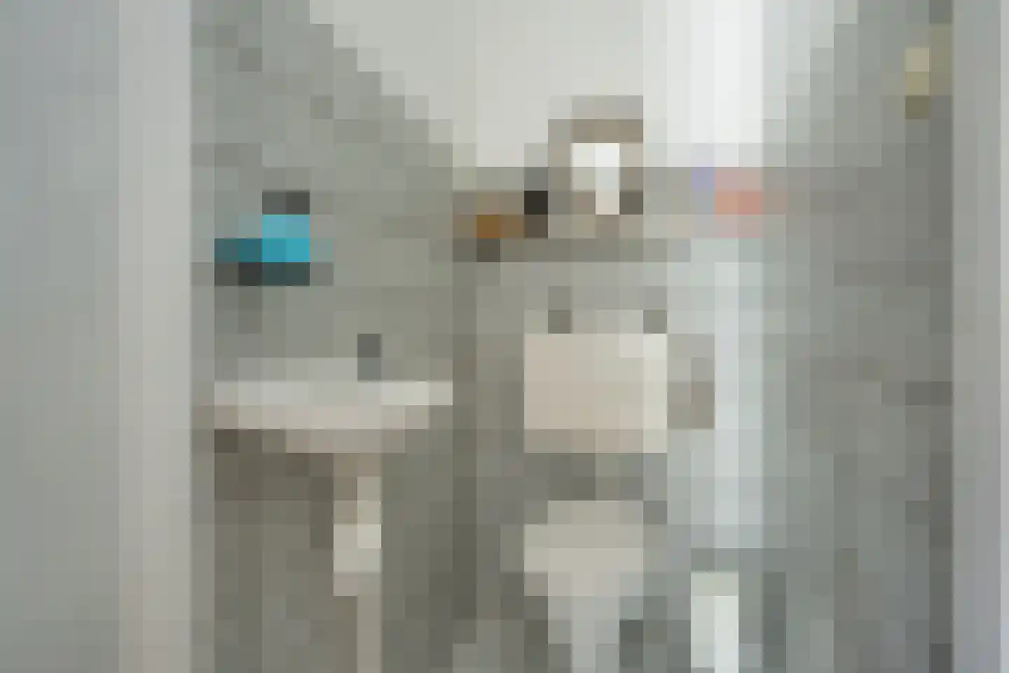 Cantecleer 12 Kollum thumbnail 21