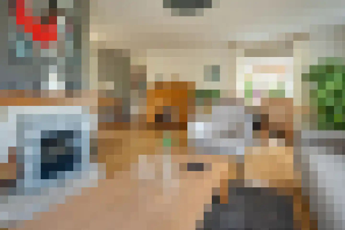 Cantecleer 12 Kollum thumbnail 23