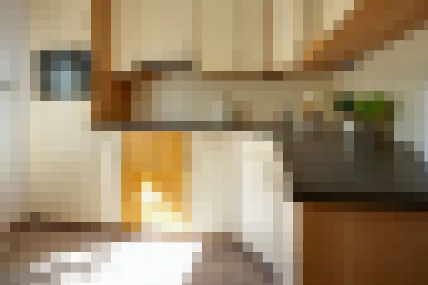 Cantecleer 12 Kollum thumbnail 30