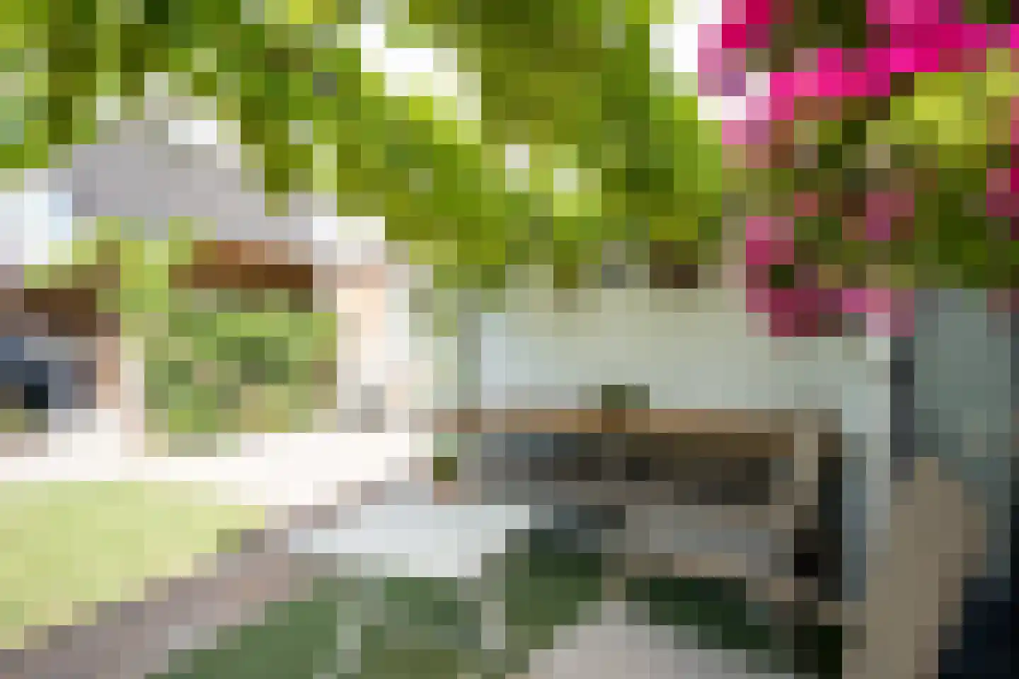 Cantecleer 12 Kollum thumbnail 35