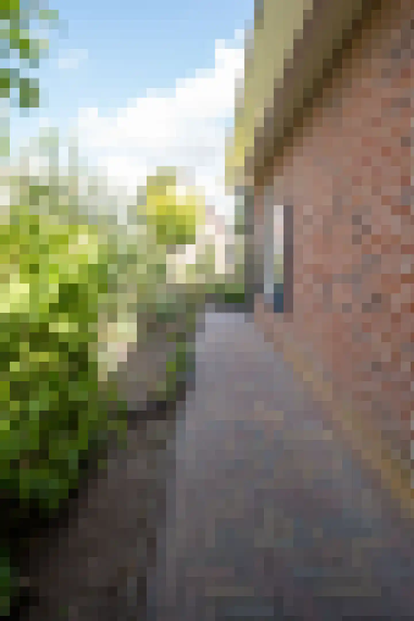 Cantecleer 12 Kollum thumbnail 38
