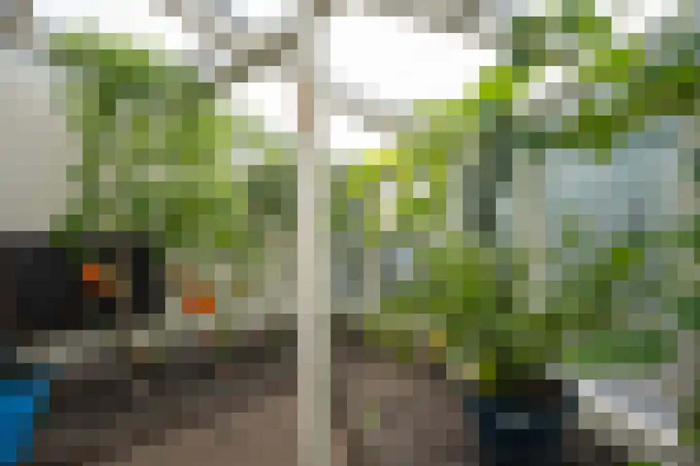 Cantecleer 12 Kollum thumbnail 41