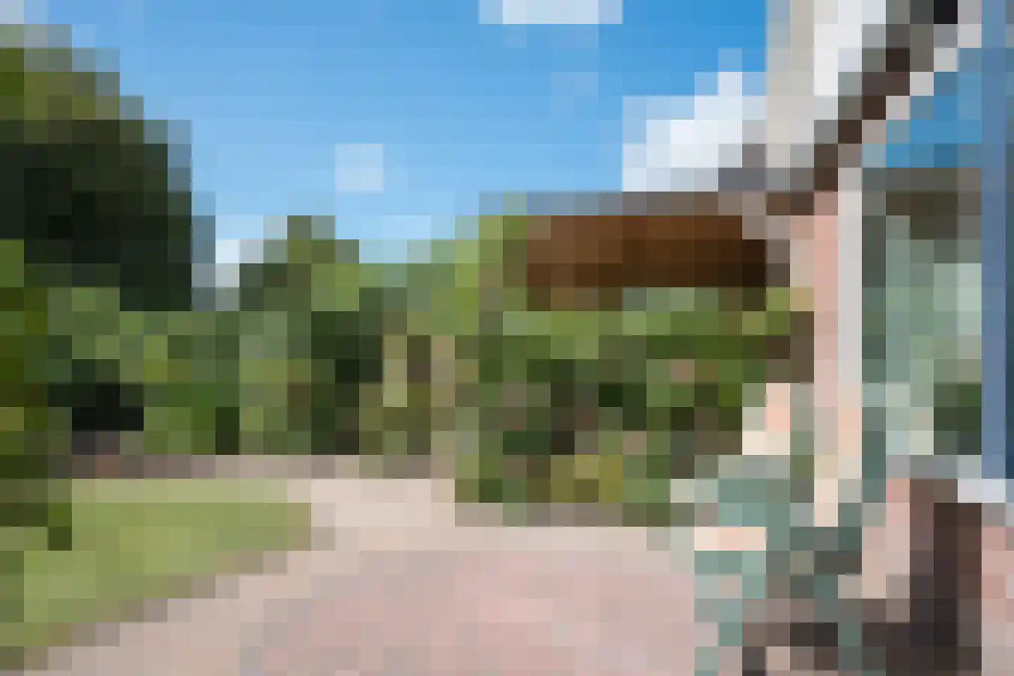 Cantecleer 12 Kollum thumbnail 48