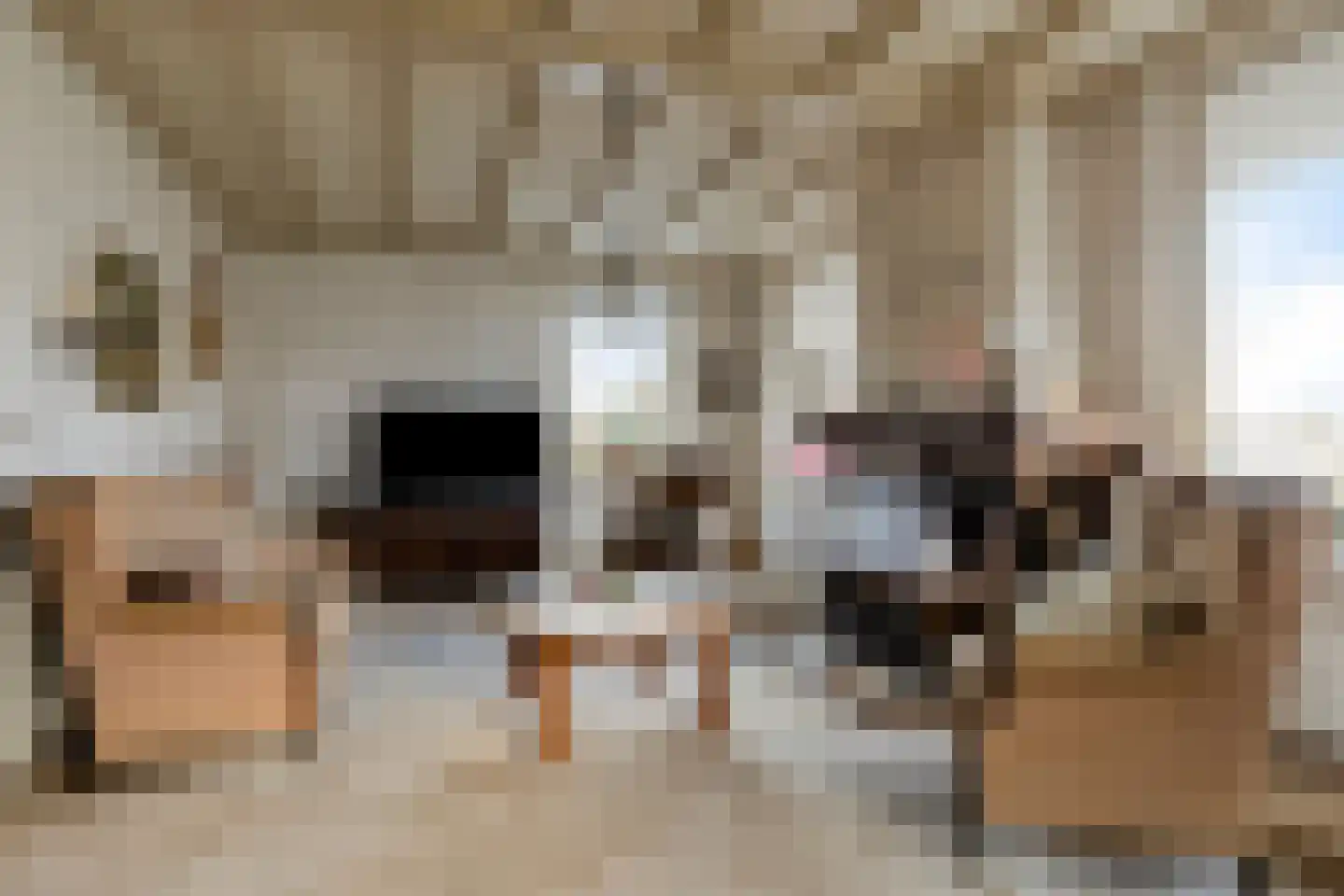 Cantecleer 39 Kollum thumbnail 13