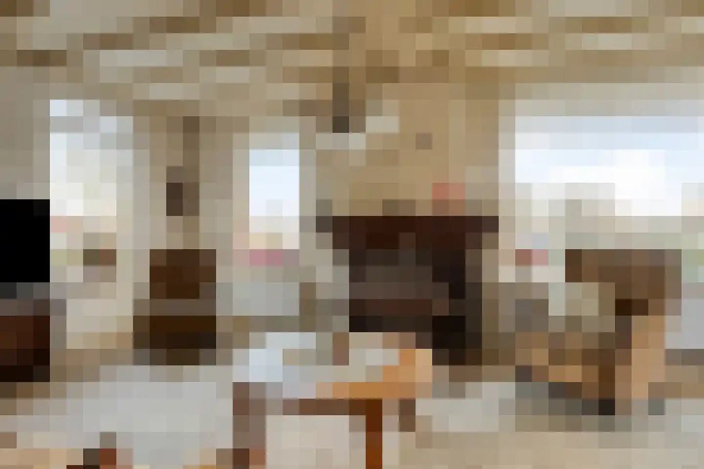 Cantecleer 39 Kollum thumbnail 14
