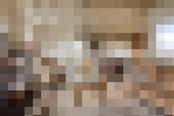 Cantecleer 39 Kollum thumbnail 15
