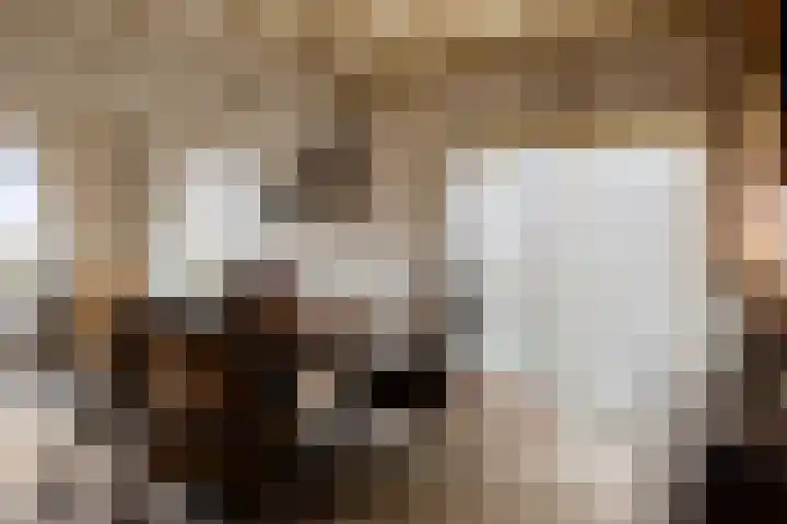 Cantecleer 39 Kollum thumbnail 18