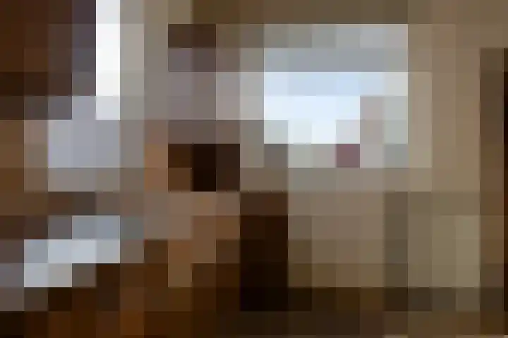 Cantecleer 39 Kollum thumbnail 21