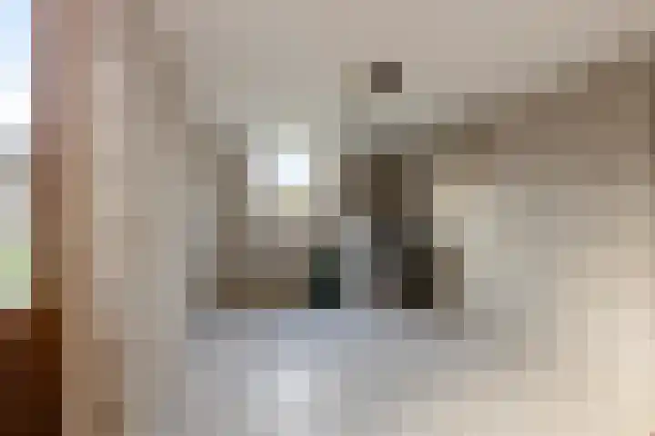 Cantecleer 39 Kollum thumbnail 23
