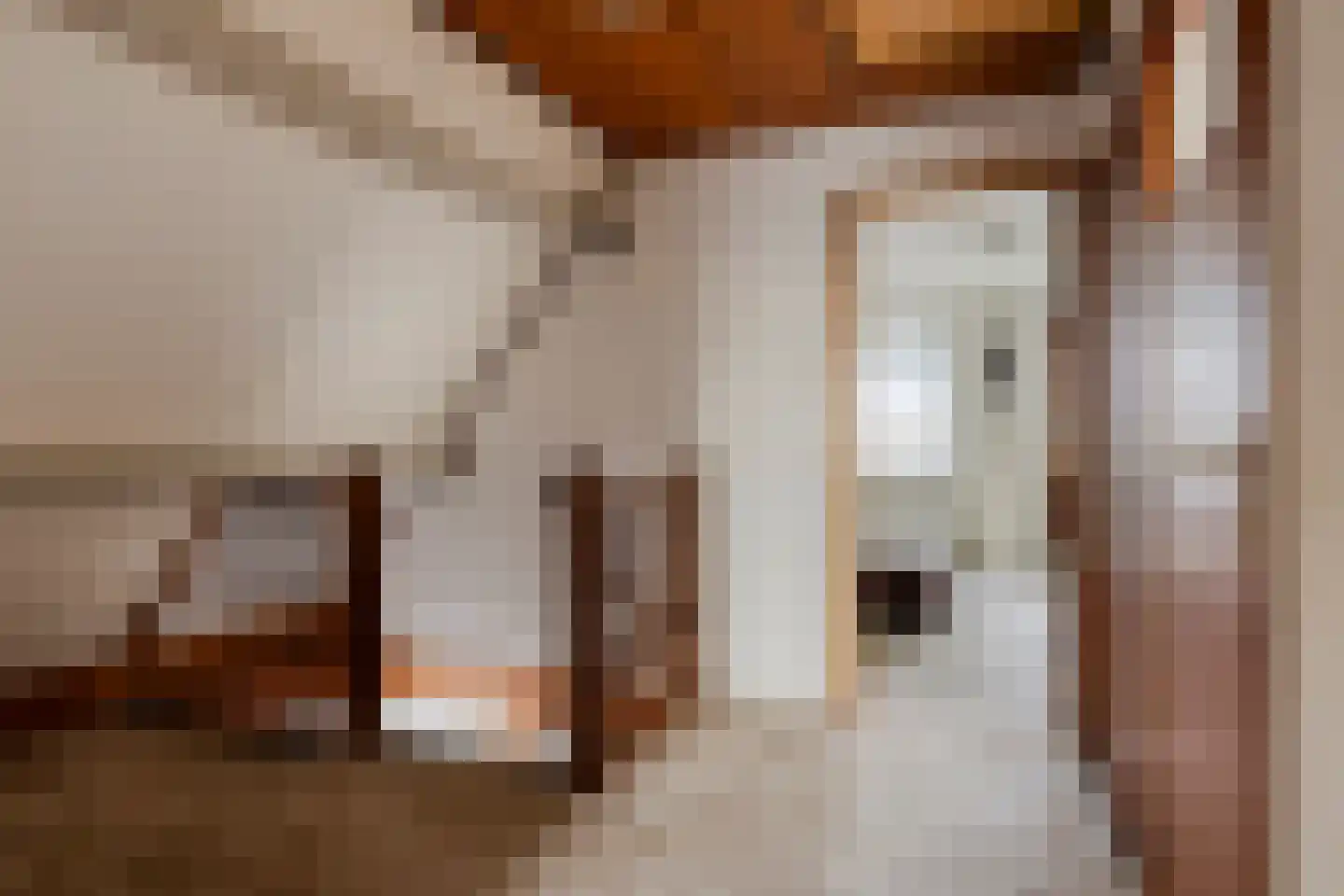 Cantecleer 39 Kollum thumbnail 24