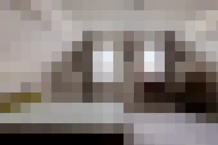 Cantecleer 39 Kollum thumbnail 25