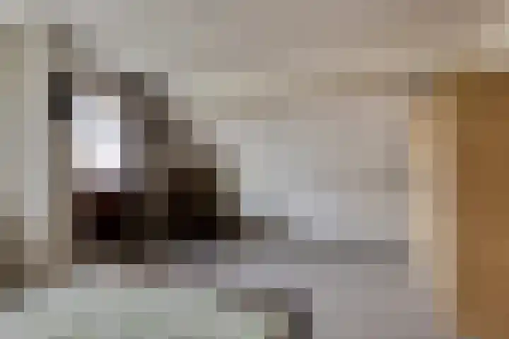 Cantecleer 39 Kollum thumbnail 27