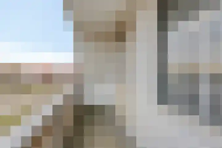 Cantecleer 39 Kollum thumbnail 28