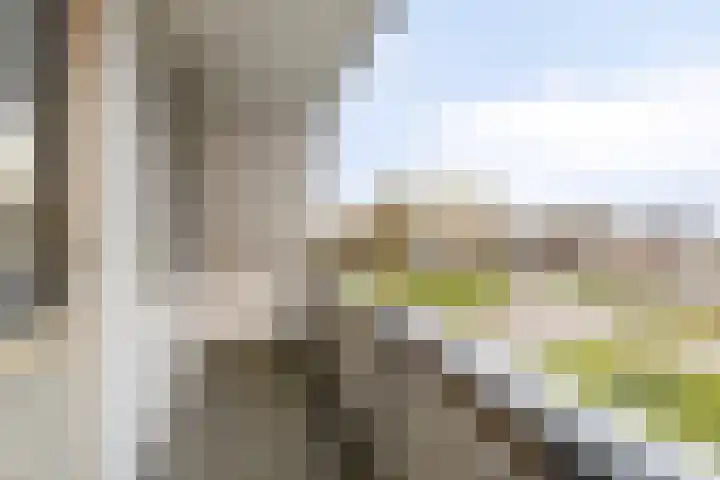Cantecleer 39 Kollum thumbnail 29