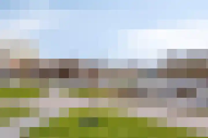 Cantecleer 39 Kollum thumbnail 30