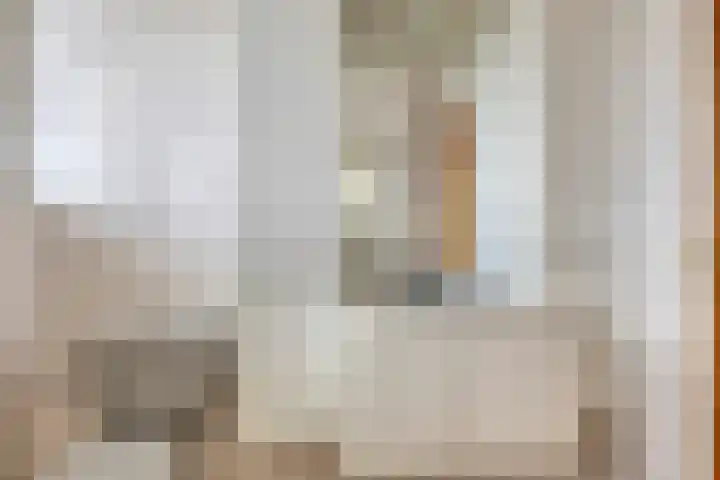 Cantecleer 39 Kollum thumbnail 32