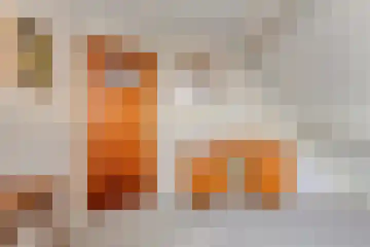 Cantecleer 39 Kollum thumbnail 36