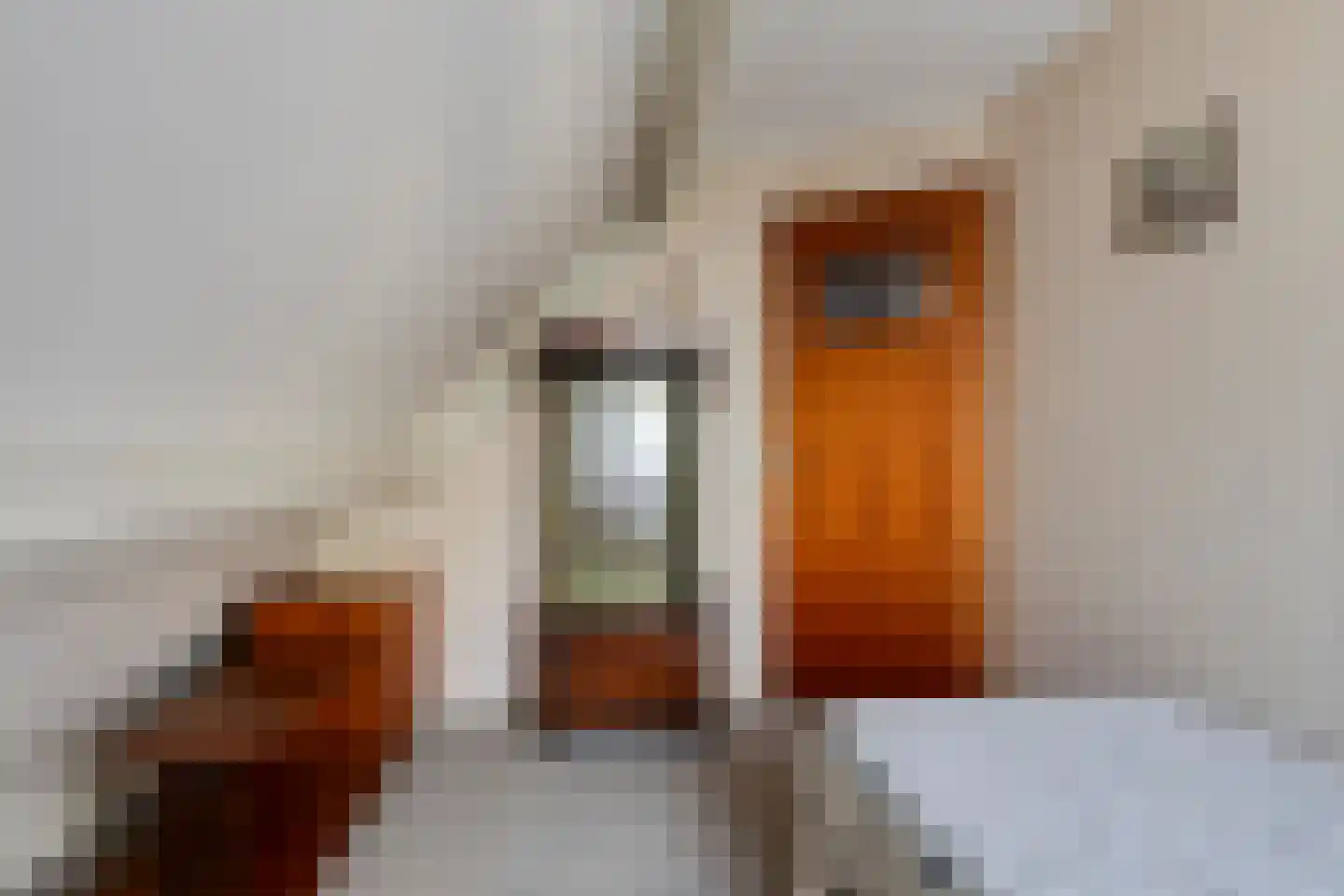 Cantecleer 39 Kollum thumbnail 38