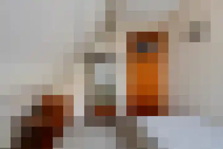 Cantecleer 39 Kollum thumbnail 38