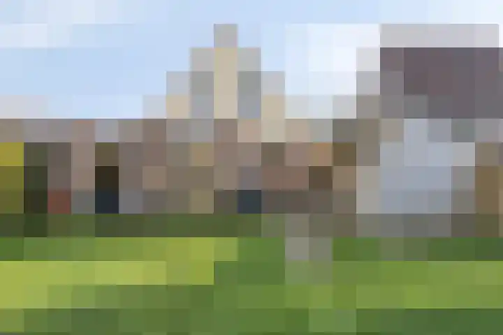 Cantecleer 39 Kollum thumbnail 39