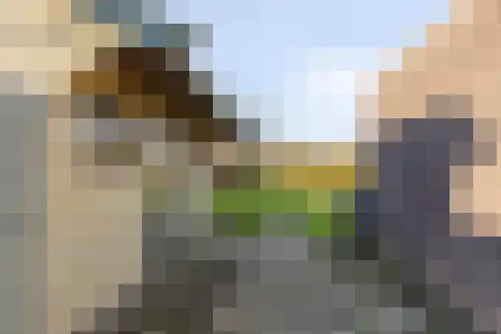Cantecleer 39 Kollum thumbnail 41