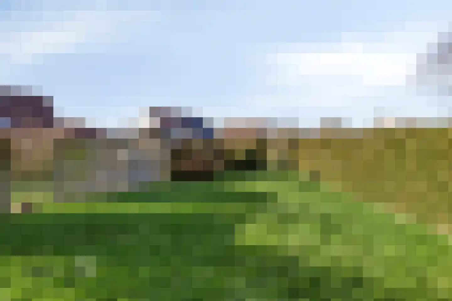 Cantecleer 39 Kollum thumbnail 42