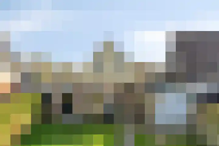 Cantecleer 39 Kollum thumbnail 43