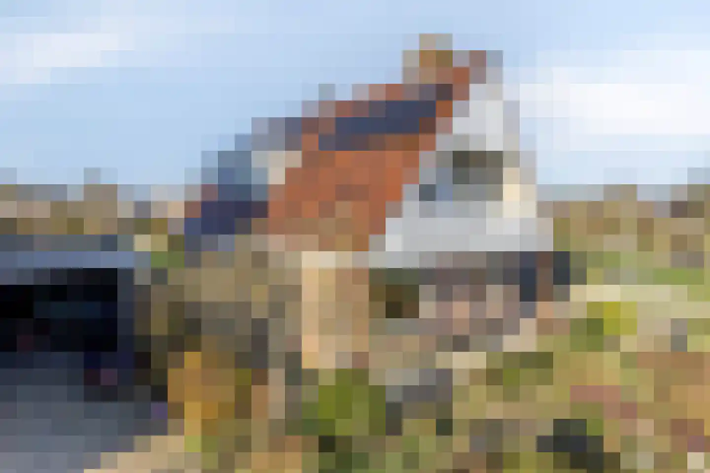 Cantecleer 39 Kollum thumbnail 44