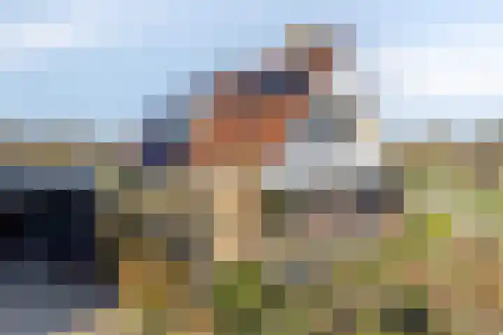 Cantecleer 39 Kollum thumbnail 44
