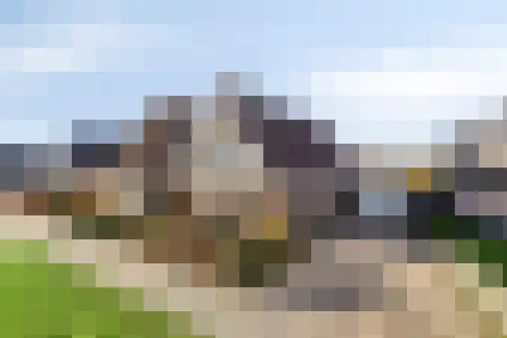 Cantecleer 39 Kollum thumbnail 45
