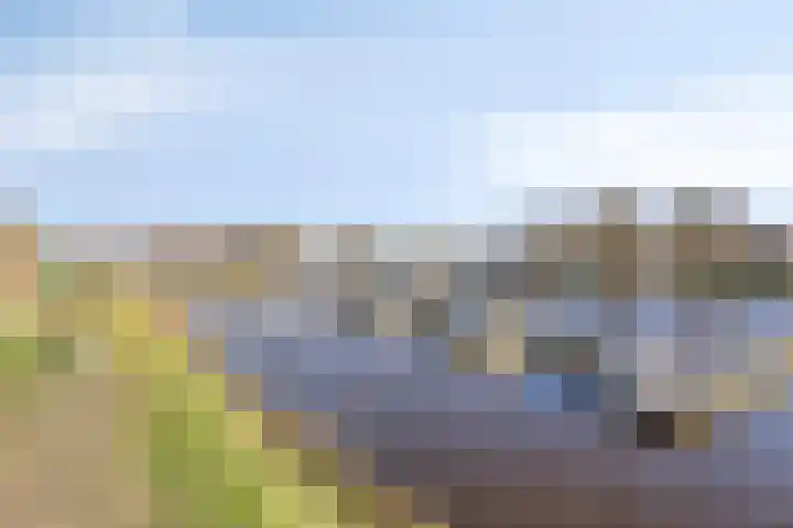 Cantecleer 39 Kollum thumbnail 47