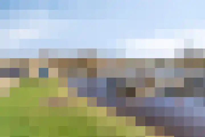 Cantecleer 39 Kollum thumbnail 48