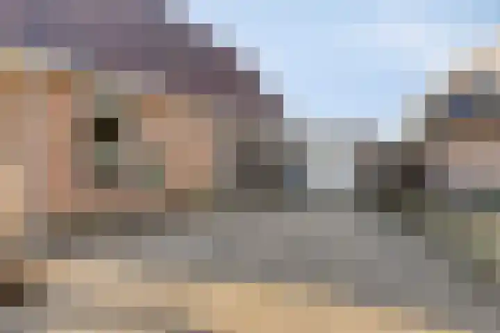 Cantecleer 39 Kollum thumbnail 8
