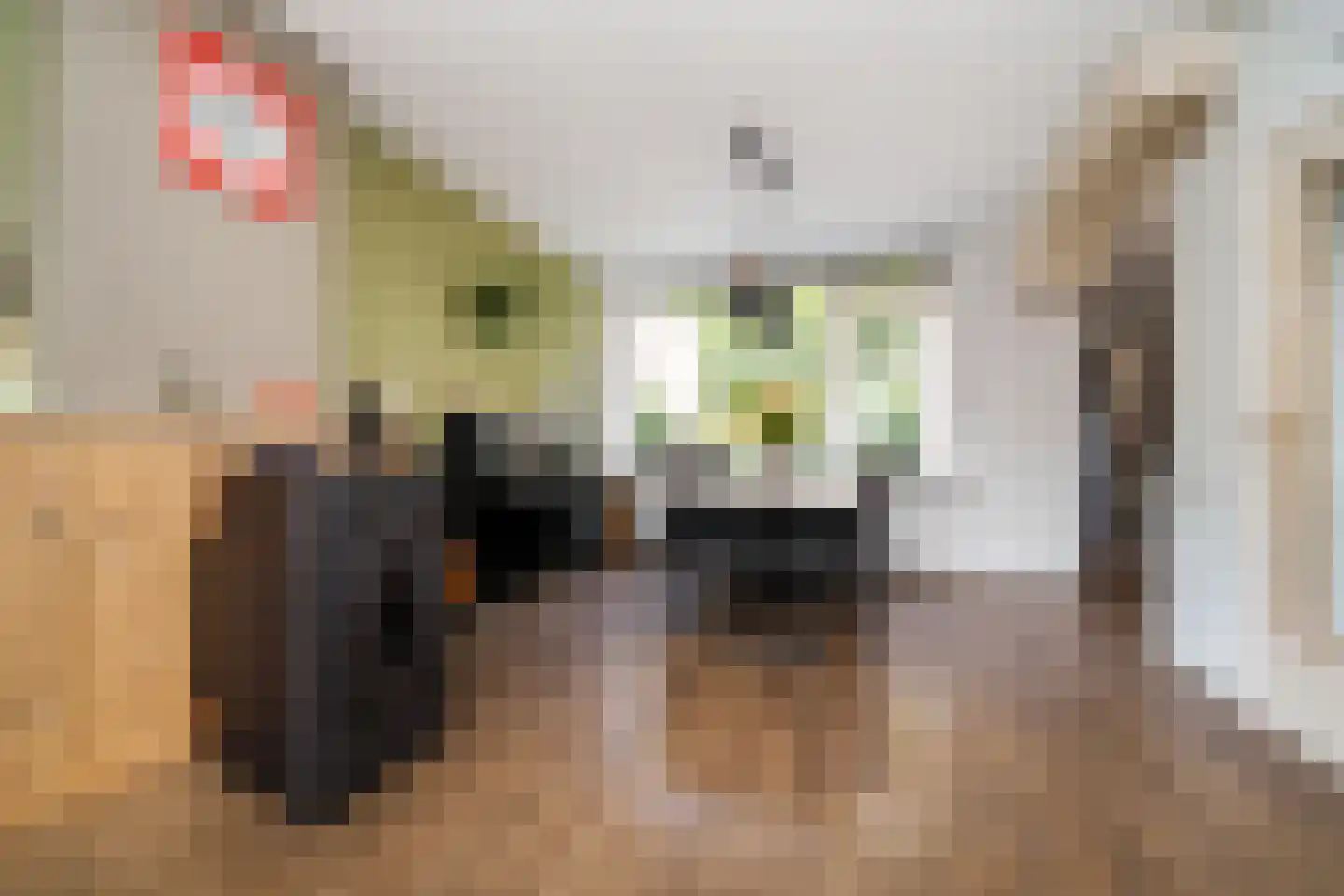 Cantecleerpad 12 Rotterdam thumbnail 11