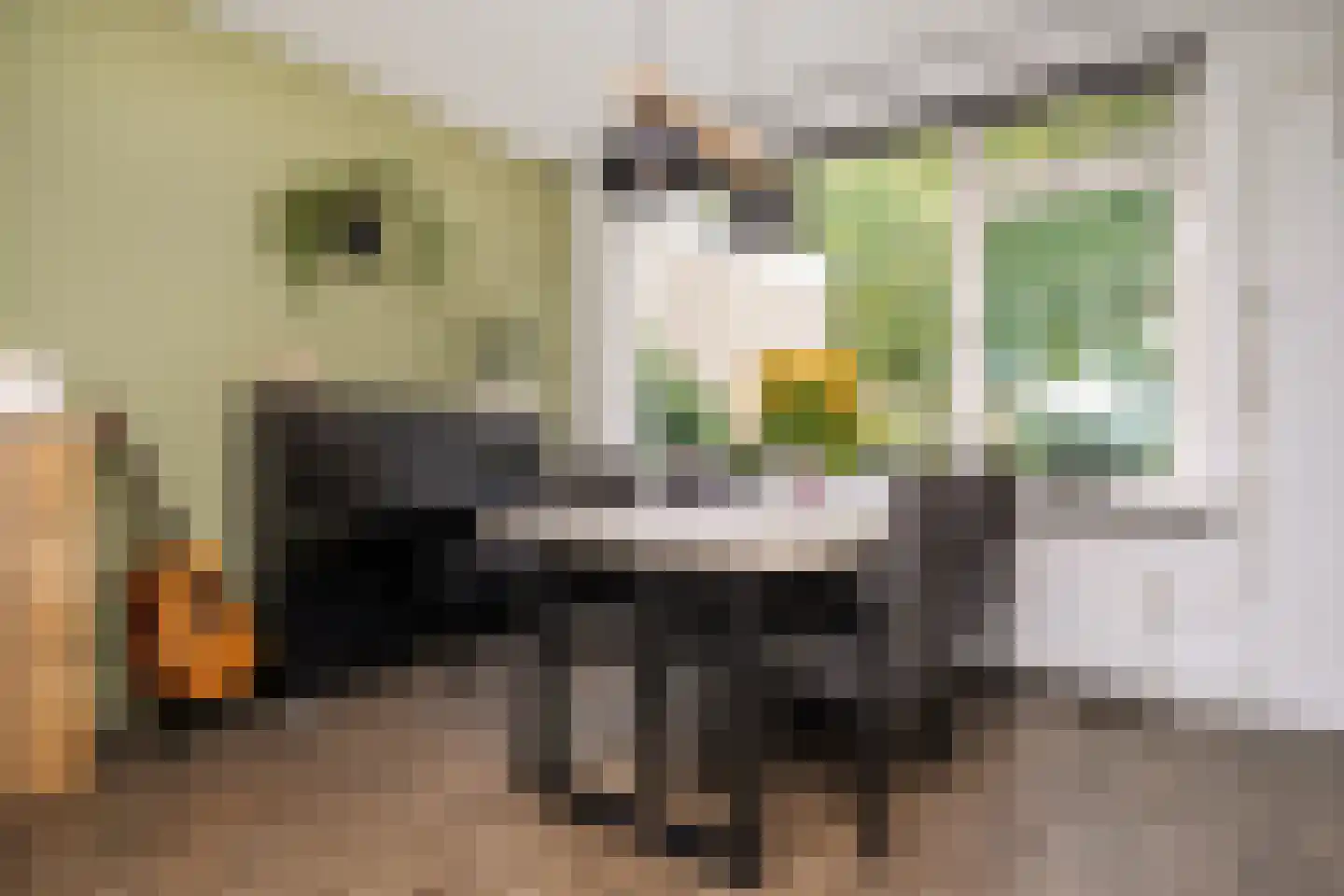 Cantecleerpad 12 Rotterdam thumbnail 12