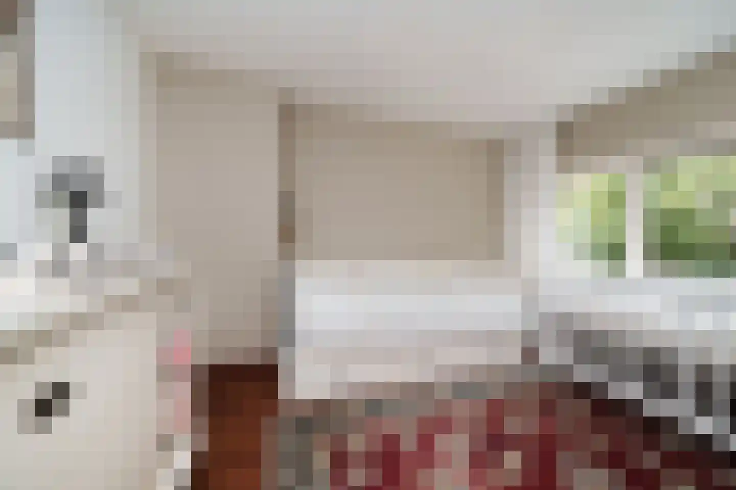 Cantecleerpad 12 Rotterdam thumbnail 18