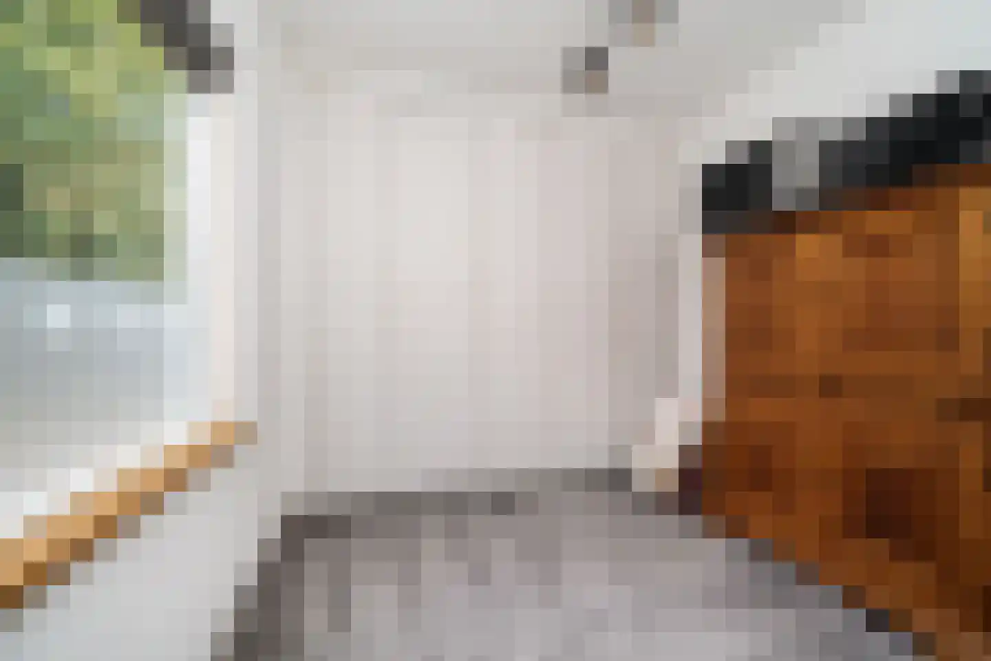 Cantecleerpad 12 Rotterdam thumbnail 20